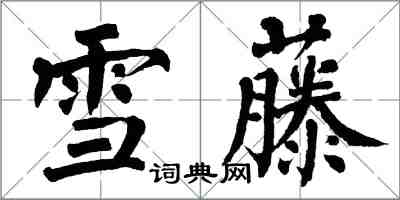 翁闓運雪藤楷書怎么寫