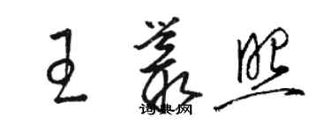 駱恆光王叢照草書個性簽名怎么寫