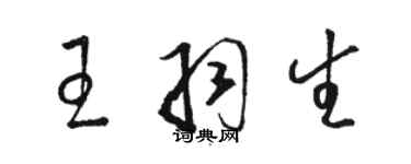 駱恆光王羽生草書個性簽名怎么寫