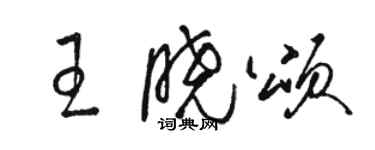 駱恆光王曉頌草書個性簽名怎么寫