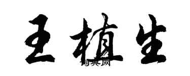 胡問遂王植生行書個性簽名怎么寫