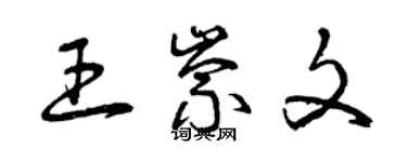 曾慶福王崇文草書個性簽名怎么寫