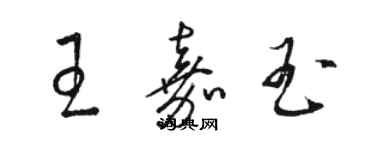 駱恆光王嘉玉草書個性簽名怎么寫