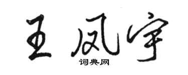 駱恆光王鳳宇行書個性簽名怎么寫