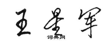 駱恆光王星軍行書個性簽名怎么寫