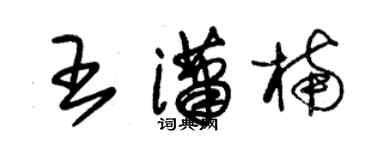 朱錫榮王瀟楠草書個性簽名怎么寫