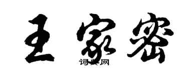 胡問遂王家密行書個性簽名怎么寫