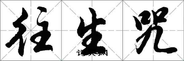 胡問遂往生咒行書怎么寫