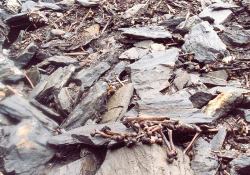 驚恐！印度驚現冰川骷髏湖