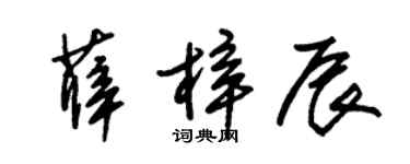 朱錫榮薛梓辰草書個性簽名怎么寫