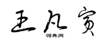 曾慶福王凡賓草書個性簽名怎么寫