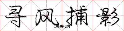 龐中華尋風捕影行書怎么寫