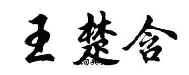 胡問遂王楚含行書個性簽名怎么寫