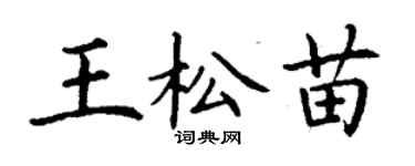 丁謙王松苗楷書個性簽名怎么寫