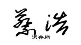 朱錫榮蔡浩草書個性簽名怎么寫