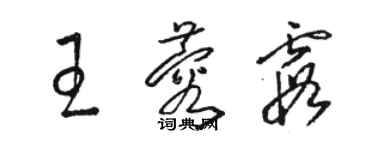 駱恆光王蓉霞草書個性簽名怎么寫