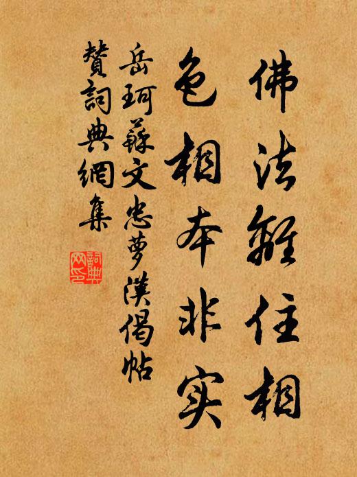 岳珂佛法離住相,色相本非實書法作品欣賞