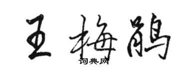 駱恆光王梅鵑行書個性簽名怎么寫