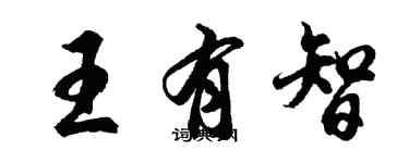 胡問遂王有智行書個性簽名怎么寫