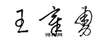 駱恆光王章勇草書個性簽名怎么寫