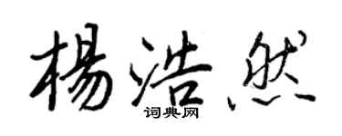 王正良楊浩然行書個性簽名怎么寫