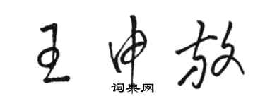 駱恆光王申放草書個性簽名怎么寫