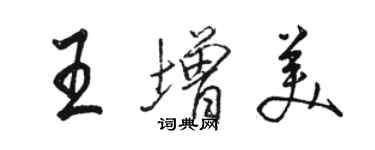 駱恆光王增美行書個性簽名怎么寫