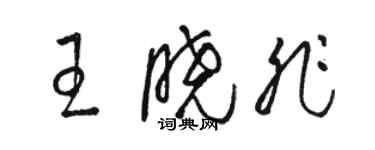 駱恆光王曉非草書個性簽名怎么寫