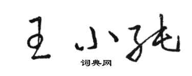 駱恆光王小純草書個性簽名怎么寫