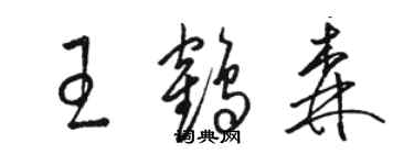 駱恆光王鶴森草書個性簽名怎么寫