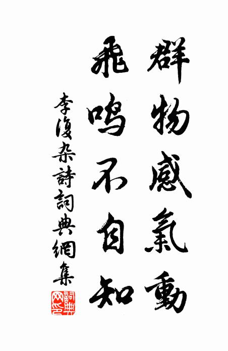 應接了不暇,妙達有餘會 詩詞名句