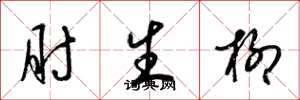 梁錦英肘生柳草書怎么寫