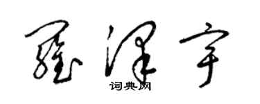 梁錦英羅澤宇草書個性簽名怎么寫