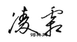 駱恆光凌霜草書個性簽名怎么寫