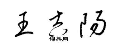 梁錦英王吉陽草書個性簽名怎么寫