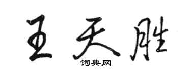 駱恆光王天勝行書個性簽名怎么寫