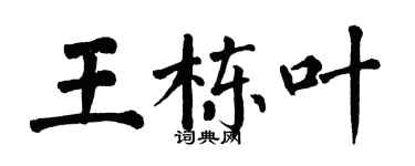 翁闓運王棟葉楷書個性簽名怎么寫