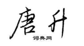 王正良唐升行書個性簽名怎么寫