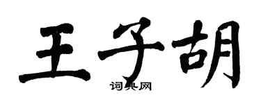 翁闓運王子胡楷書個性簽名怎么寫