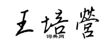 王正良王培營行書個性簽名怎么寫