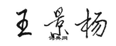 駱恆光王景楊行書個性簽名怎么寫