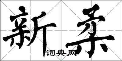 翁闓運新柔楷書怎么寫