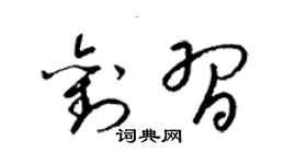 梁錦英劉習草書個性簽名怎么寫