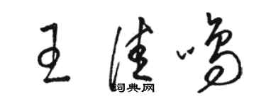 駱恆光王佳鳴草書個性簽名怎么寫