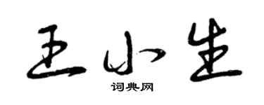 曾慶福王小生草書個性簽名怎么寫