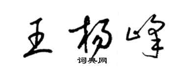 梁錦英王楊峰草書個性簽名怎么寫