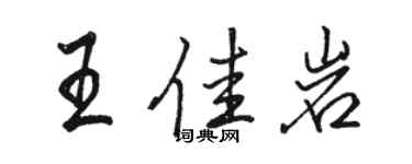 駱恆光王佳岩行書個性簽名怎么寫