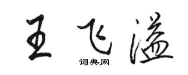 駱恆光王飛溢行書個性簽名怎么寫