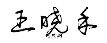 曾慶福王曉禾草書個性簽名怎么寫