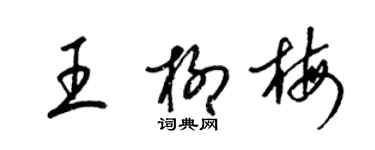 梁錦英王柳梅草書個性簽名怎么寫